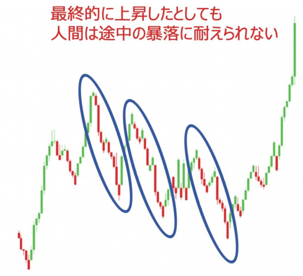 人間は暴落を耐えられない