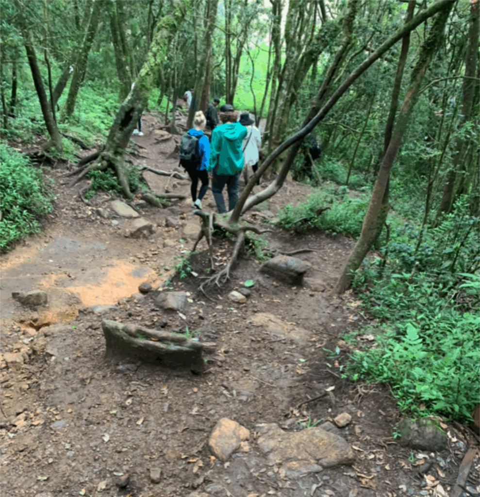 ホートンプレインズ国立公園の道